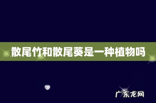 散尾竹和散尾葵是一种植物吗