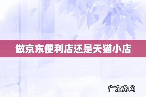 做京东便利店还是天猫小店