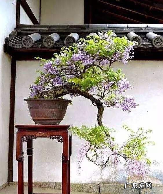 厕所对着大门好不好 大门对着客厅风水