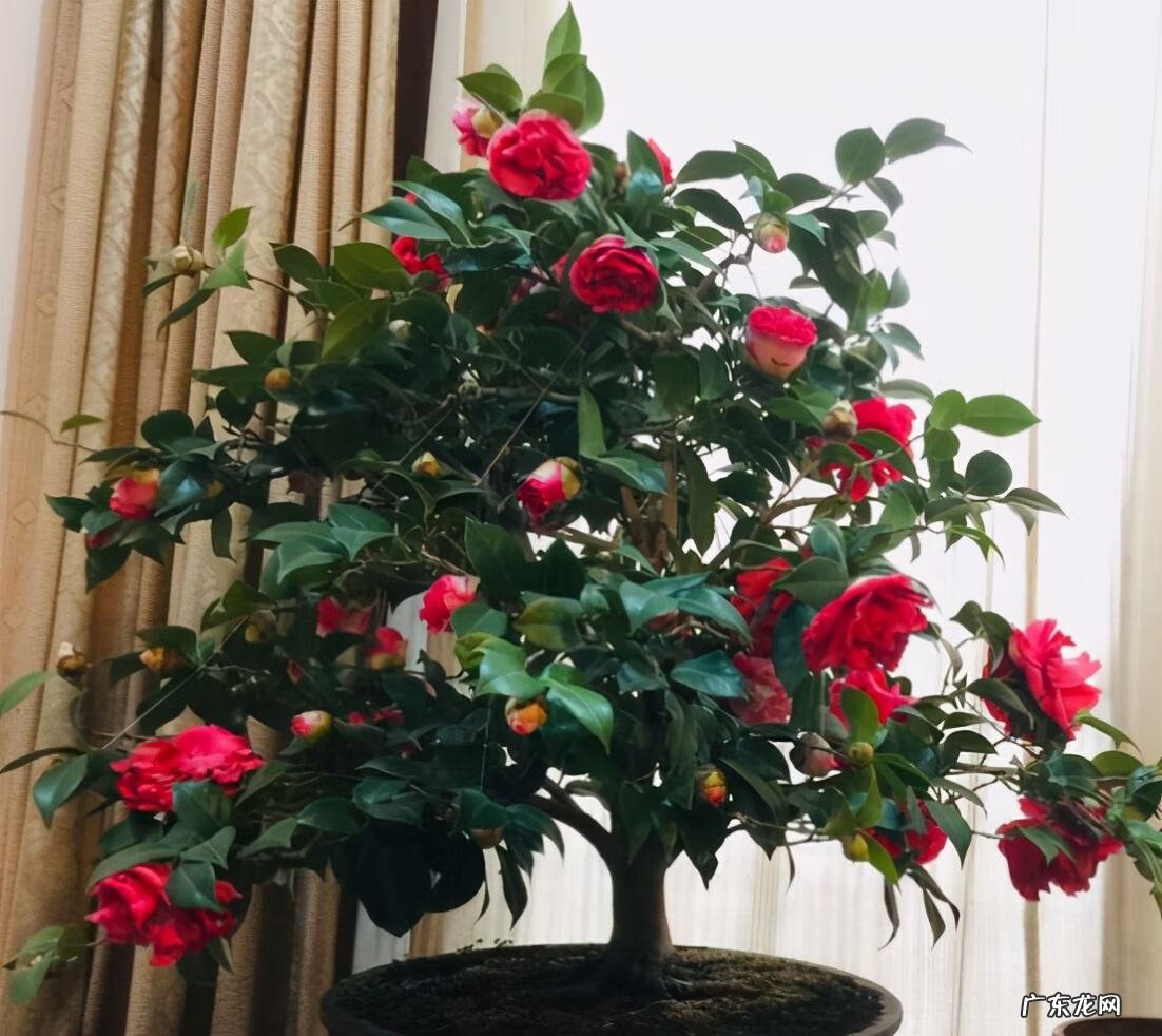 厕所对着大门好不好 大门对着客厅风水