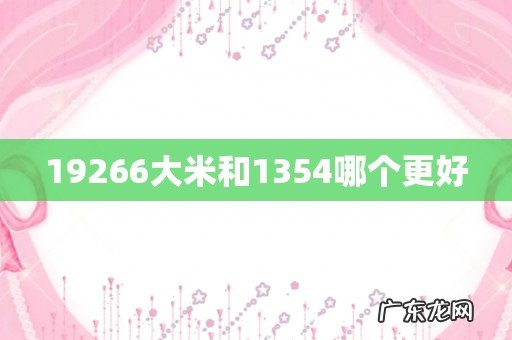 19266大米和1354哪个更好