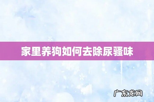 家里养狗如何去除尿骚味