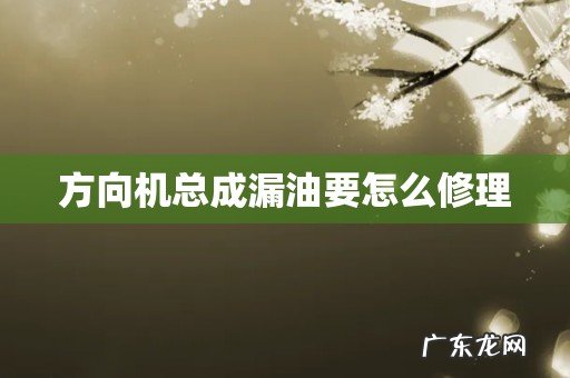 方向机总成漏油要怎么修理