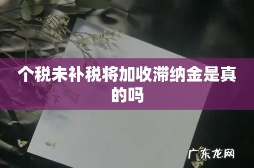 个税未补税将加收滞纳金是真的吗