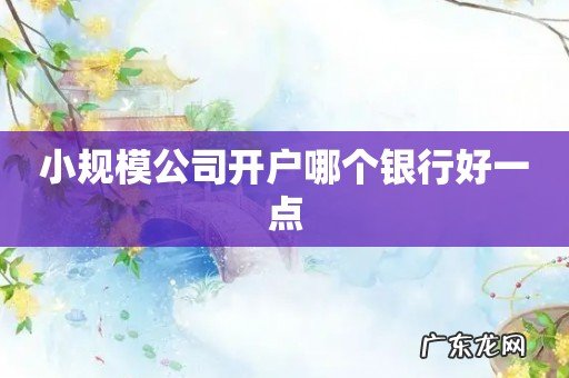 小规模公司开户哪个银行好一点