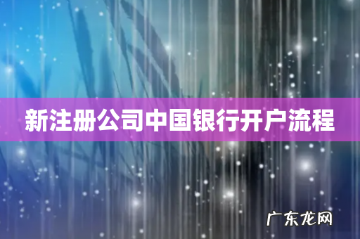 新注册公司中国银行开户流程