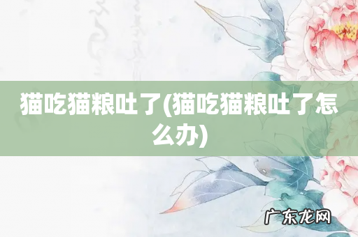 猫吃猫粮吐了怎么办 猫吃猫粮吐了
