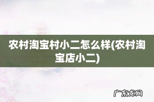 农村淘宝店小二 农村淘宝村小二怎么样