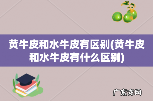 黄牛皮和水牛皮有什么区别 黄牛皮和水牛皮有区别