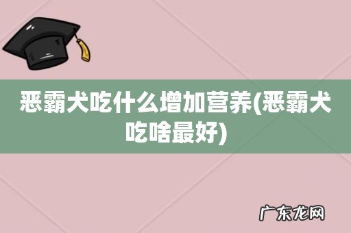 恶霸犬吃啥最好 恶霸犬吃什么增加营养
