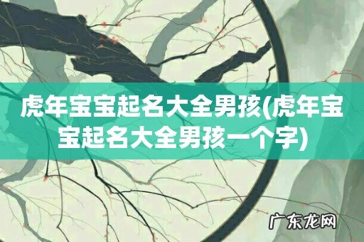 虎年宝宝起名大全男孩一个字 虎年宝宝起名大全男孩