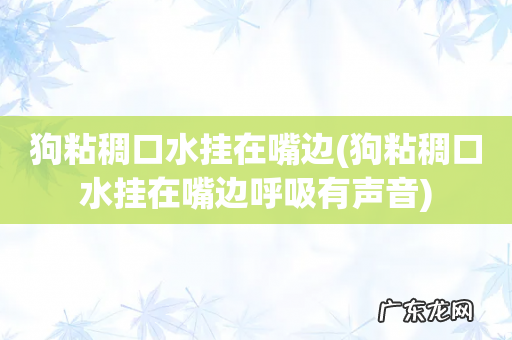 狗粘稠口水挂在嘴边呼吸有声音 狗粘稠口水挂在嘴边