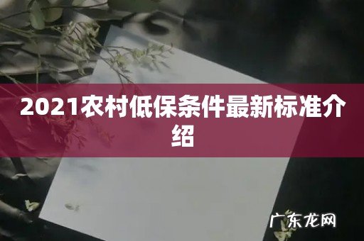 2021农村低保条件最新标准介绍