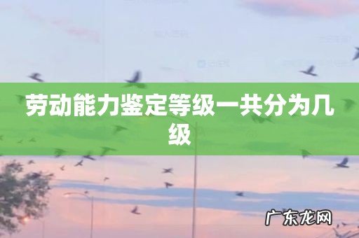 劳动能力鉴定等级一共分为几级