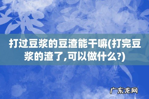 打完豆浆的渣了,可以做什么? 打过豆浆的豆渣能干嘛