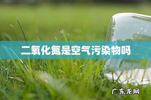 二氧化氮是空气污染物吗