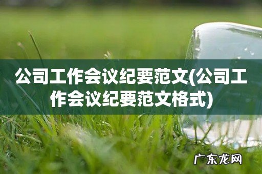 公司工作会议纪要范文格式 公司工作会议纪要范文