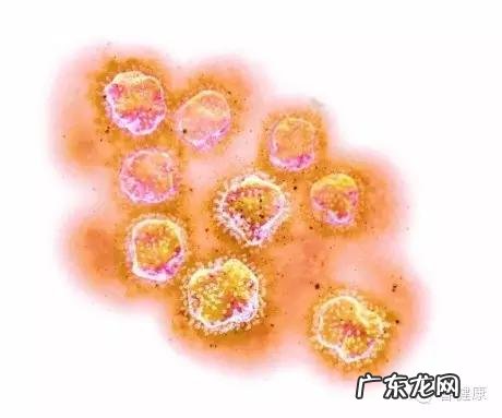 丙型肝炎病毒抗体测定 丙型肝炎抗体测定阴性