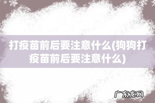 狗狗打疫苗前后要注意什么 打疫苗前后要注意什么