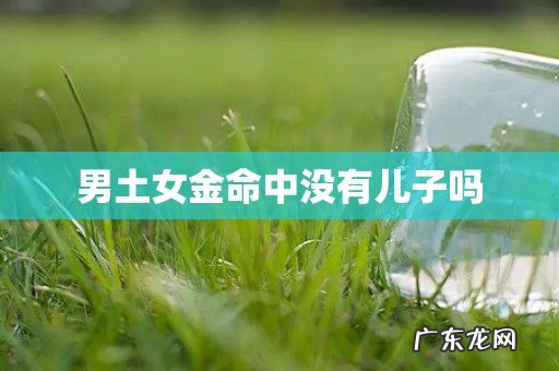 男土女金命中没有儿子吗