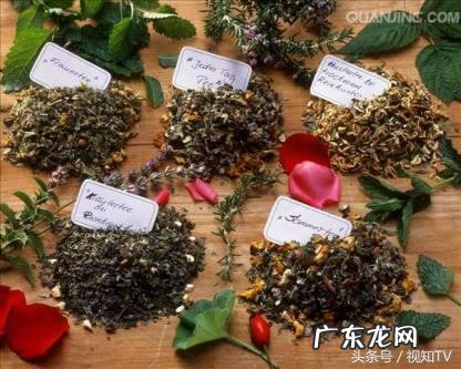 罗平县到罗汉镇 罗汉果树风水