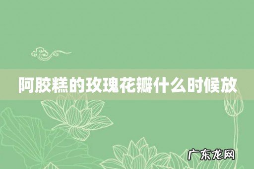 阿胶糕的玫瑰花瓣什么时候放