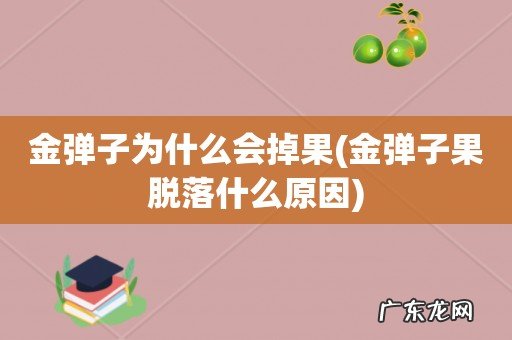 金弹子果脱落什么原因 金弹子为什么会掉果