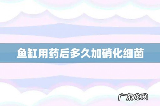 鱼缸用药后多久加硝化细菌