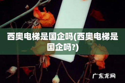 西奥电梯是国企吗? 西奥电梯是国企吗