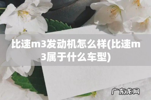比速m3属于什么车型 比速m3发动机怎么样