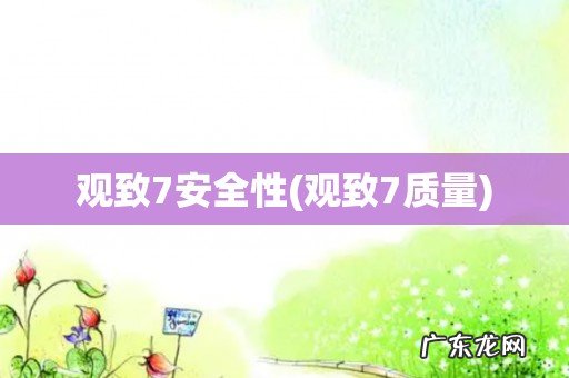 观致7质量 观致7安全性