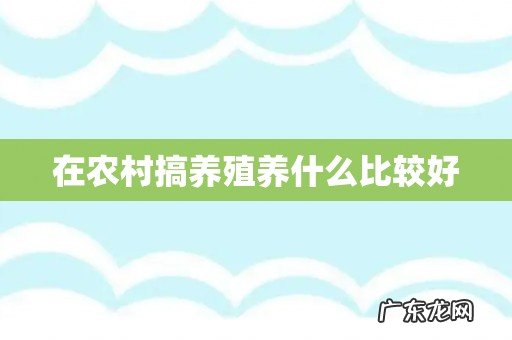 在农村搞养殖养什么比较好