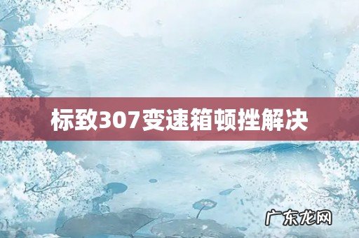 标致307变速箱顿挫解决