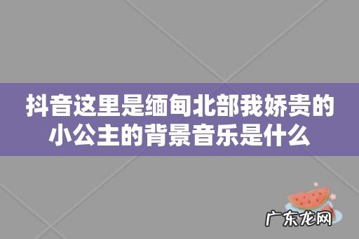 抖音这里是缅甸北部我娇贵的小公主的背景音乐是什么