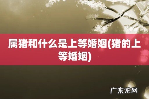 猪的上等婚姻 属猪和什么是上等婚姻