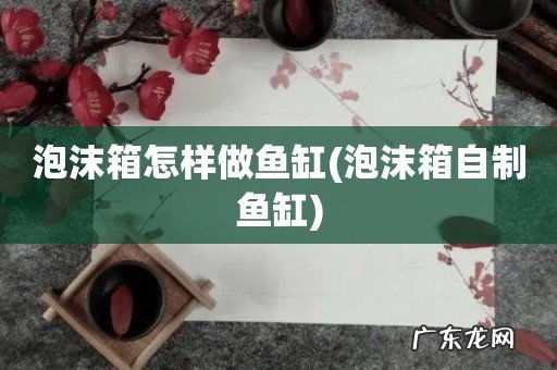 泡沫箱自制鱼缸 泡沫箱怎样做鱼缸