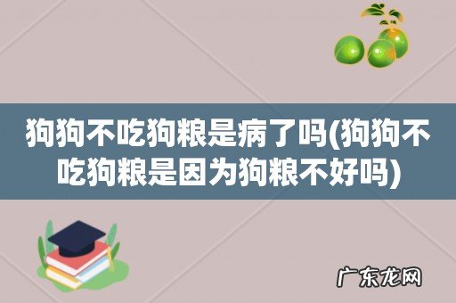 狗狗不吃狗粮是因为狗粮不好吗 狗狗不吃狗粮是病了吗