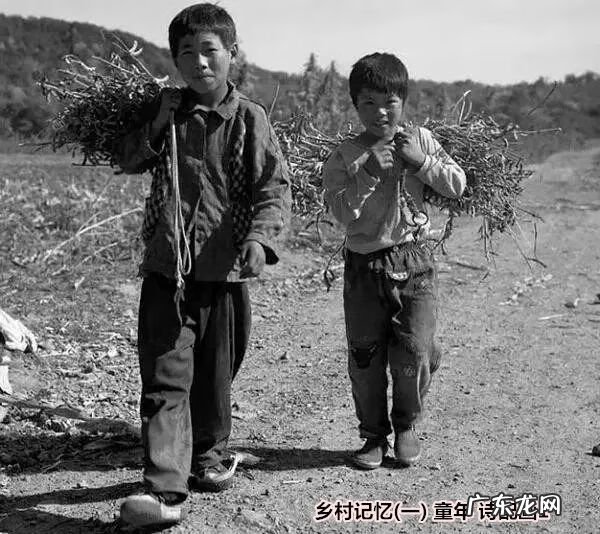 自创儿童诗必须是自编 自创儿童诗配画