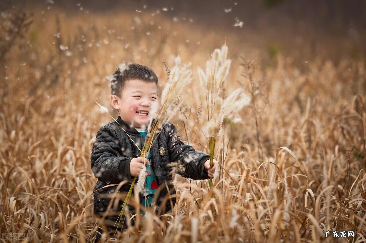 自创儿童诗必须是自编 自创儿童诗配画