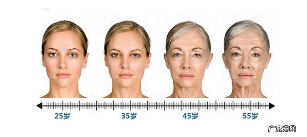 延缓衰老的原理 延缓衰老