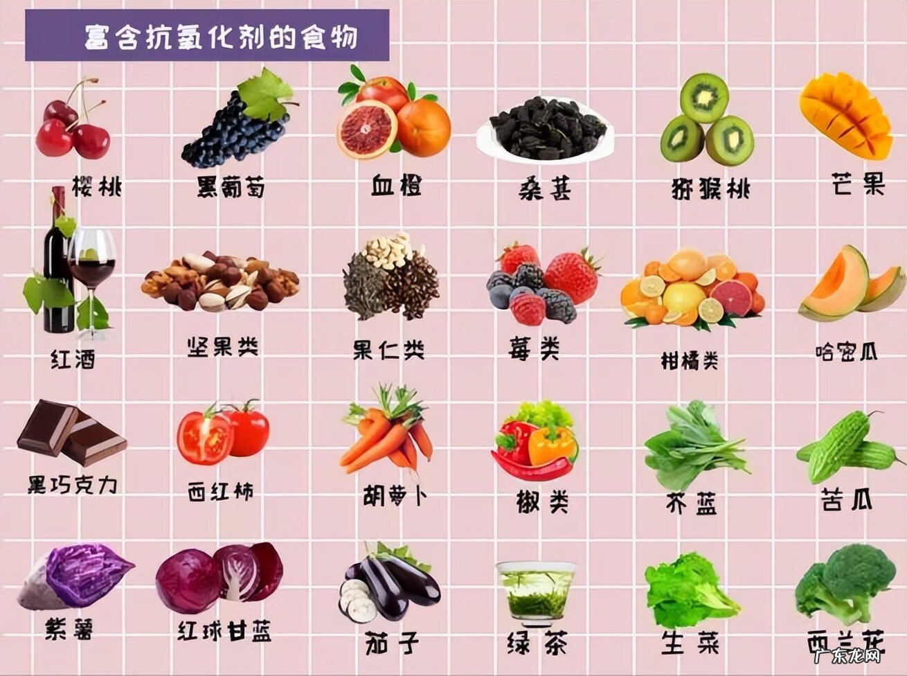 延缓衰老的原理 延缓衰老