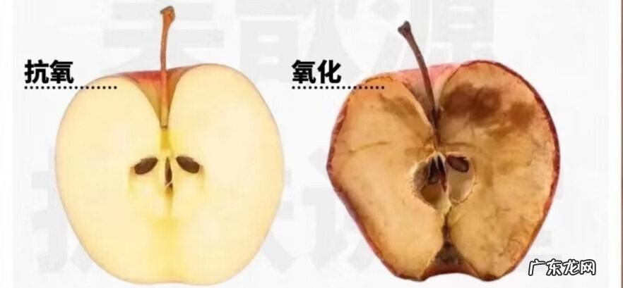 延缓衰老的原理 延缓衰老