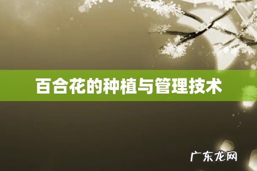 百合花的种植与管理技术