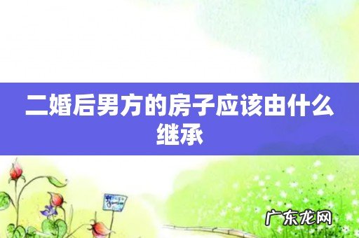 二婚后男方的房子应该由什么继承