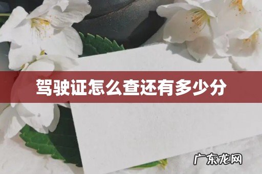 驾驶证怎么查还有多少分