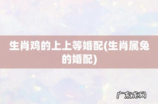 生肖属兔的婚配 生肖鸡的上上等婚配