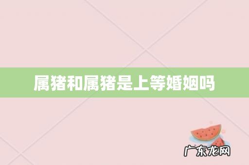 属猪和属猪是上等婚姻吗