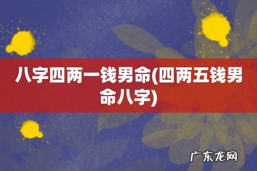 四两五钱男命八字 八字四两一钱男命