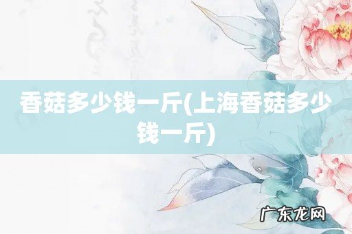 上海香菇多少钱一斤 香菇多少钱一斤