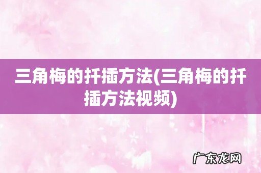 三角梅的扦插方法视频 三角梅的扦插方法